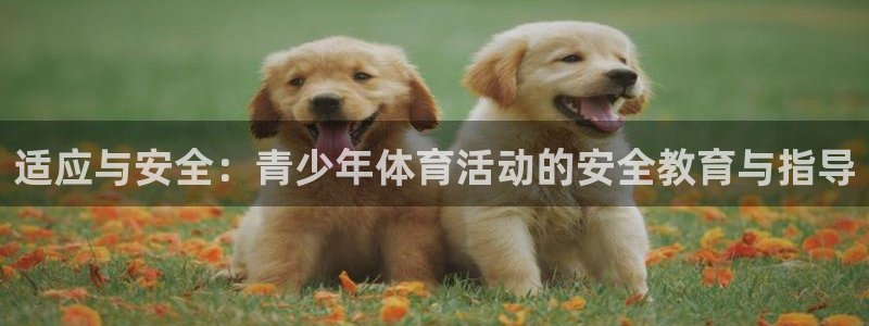 意昂f凯捷体育凯捷代理注册：适应与安全：青少年体育活动的安全教育与指导