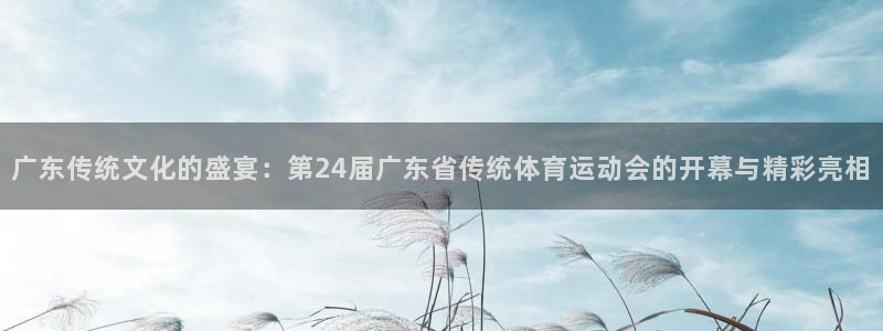 意昂f凯捷4官网：广东传统文化的盛宴：第24届广东省传统体育运动会的开幕与精彩亮