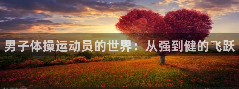 意昂f凯捷3官网：男子体操运动员的世界：从强到健的飞跃