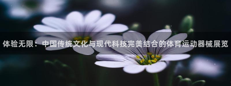 意昂f凯捷代理注册官网入口：体验无限：中国传统文化与现代科技完美结合的体育运动器