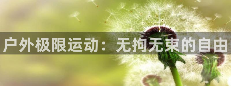 意昂f凯捷平台注册入口：户外极限运动：无拘无束的自由