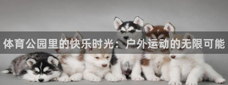 意昂f凯捷集团总部：体育公园里的快乐时光：户外运动的无限可能