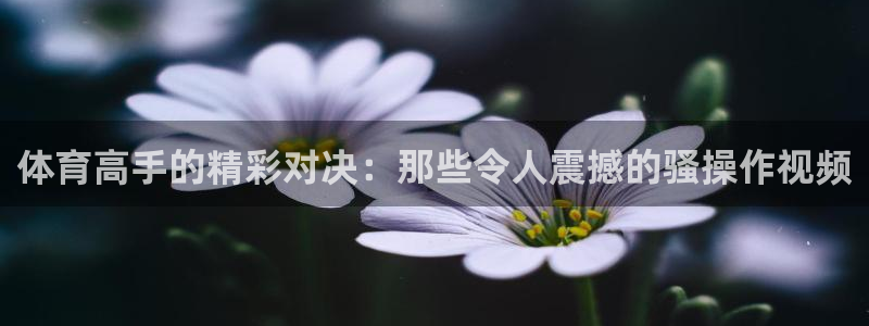 意昂f凯捷2代理注册：体育高手的精彩对决：那些令人震撼的骚操作视频