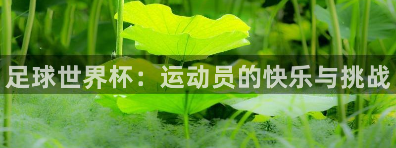 意昂f凯捷代理注册官网入口：足球世界杯：运动员的快乐与挑战