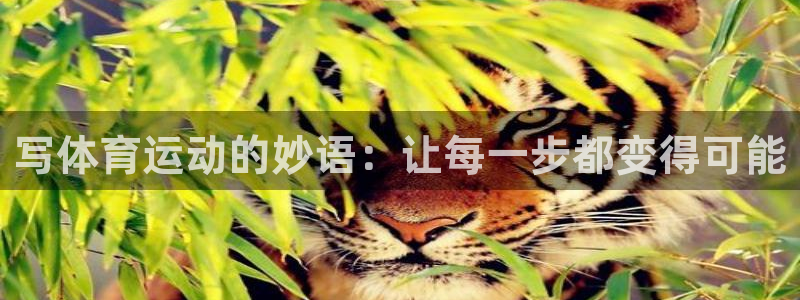 意昂f凯捷平台