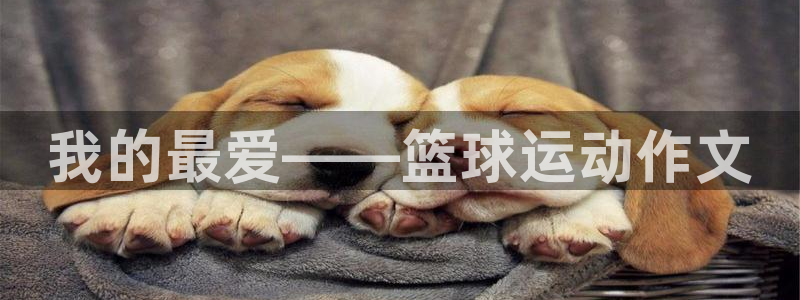 意昂f凯捷招商