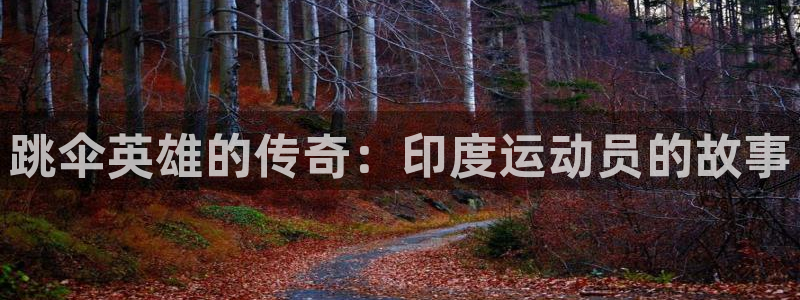 意昂f凯捷体育2官网入口