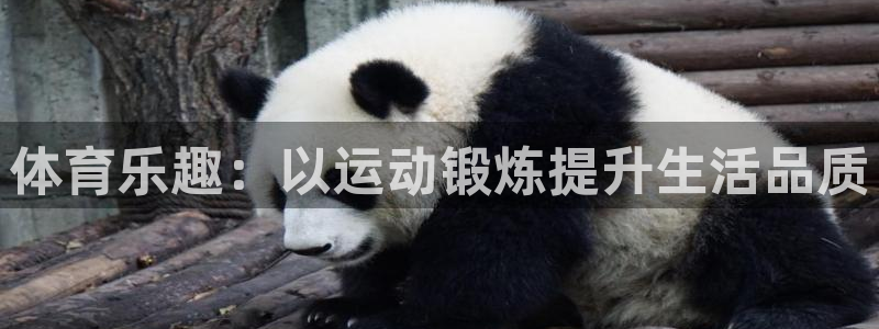 意昂f凯捷股份：体育乐趣：以运动锻炼提升生活品质