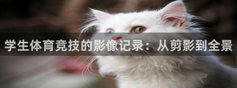 意昂f凯捷体育平台登录入口：学生体育竞技的影像记录：从剪影到全景