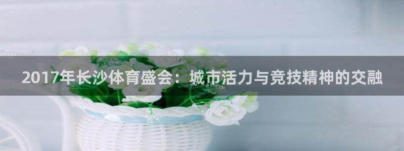意昂f凯捷体育app下载：2017年长沙体育盛会：城市活力与竞技精神的交融